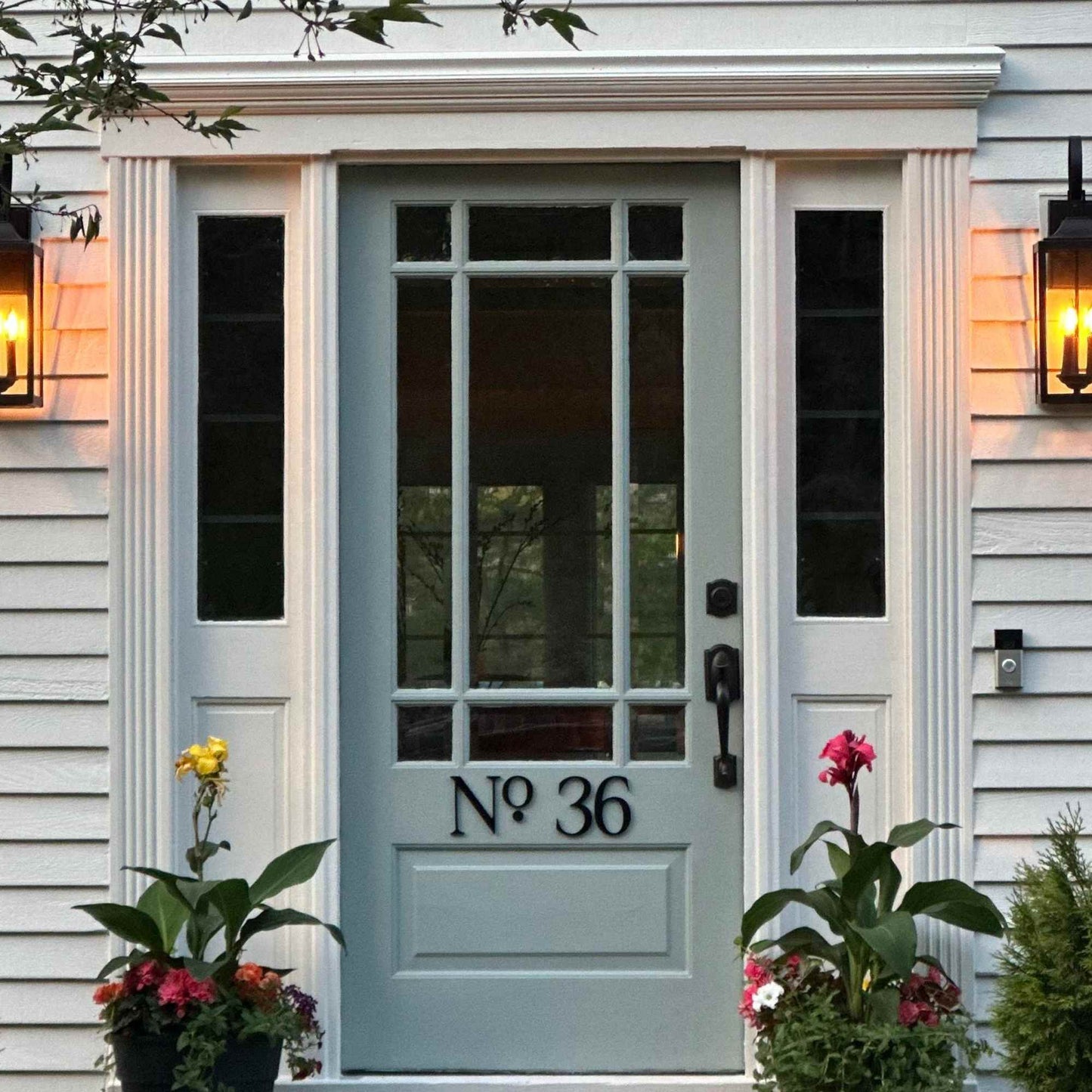 Light blue front door with house number 'No 36' on a house exterior with plants and lights.