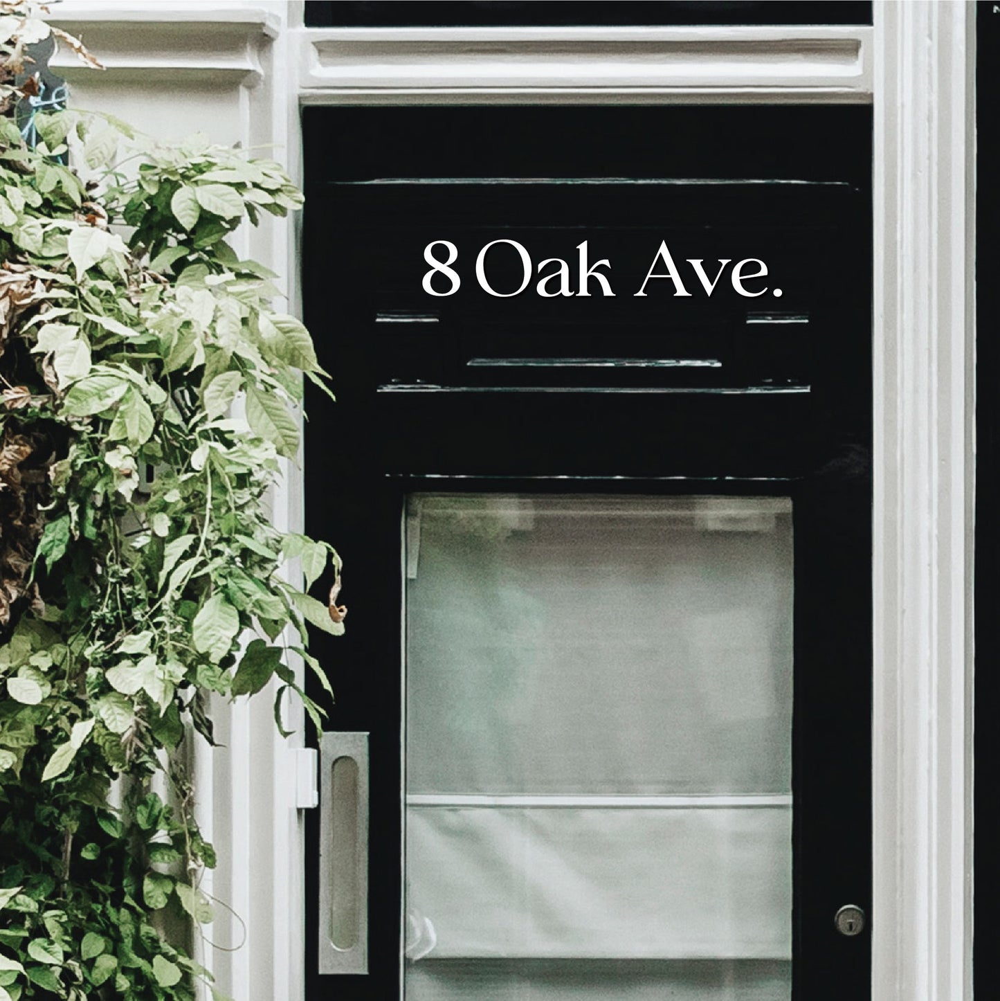 8 inch ROMAN SERIF house numbers for modern address signs