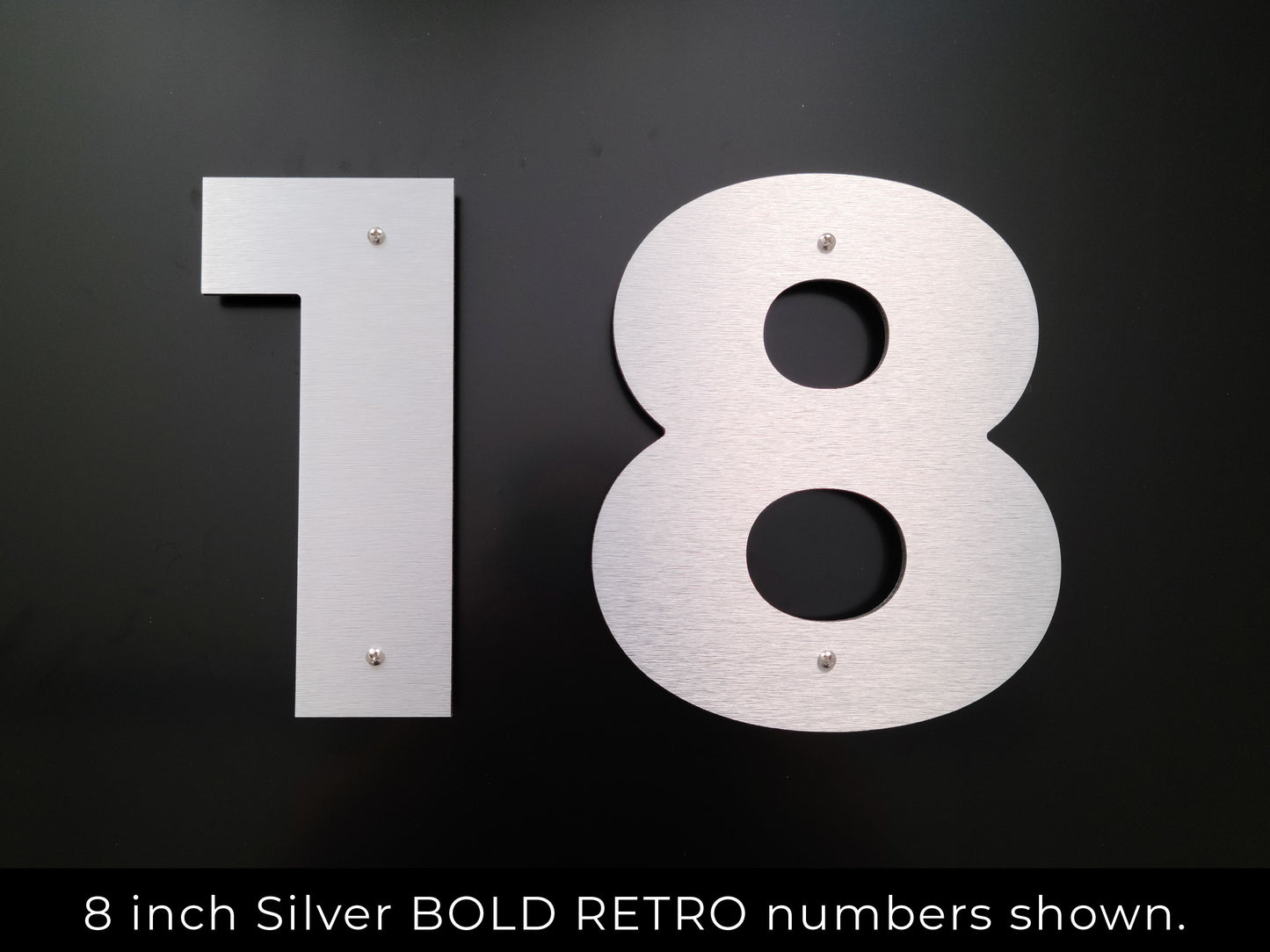 BOLD RETRO house numbers in brushed silver