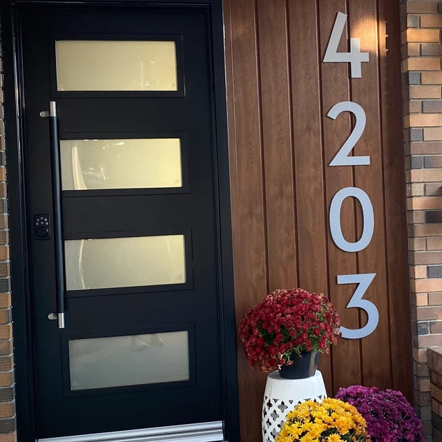 Brushed nickel classic modern house numbers beside a modern black front door