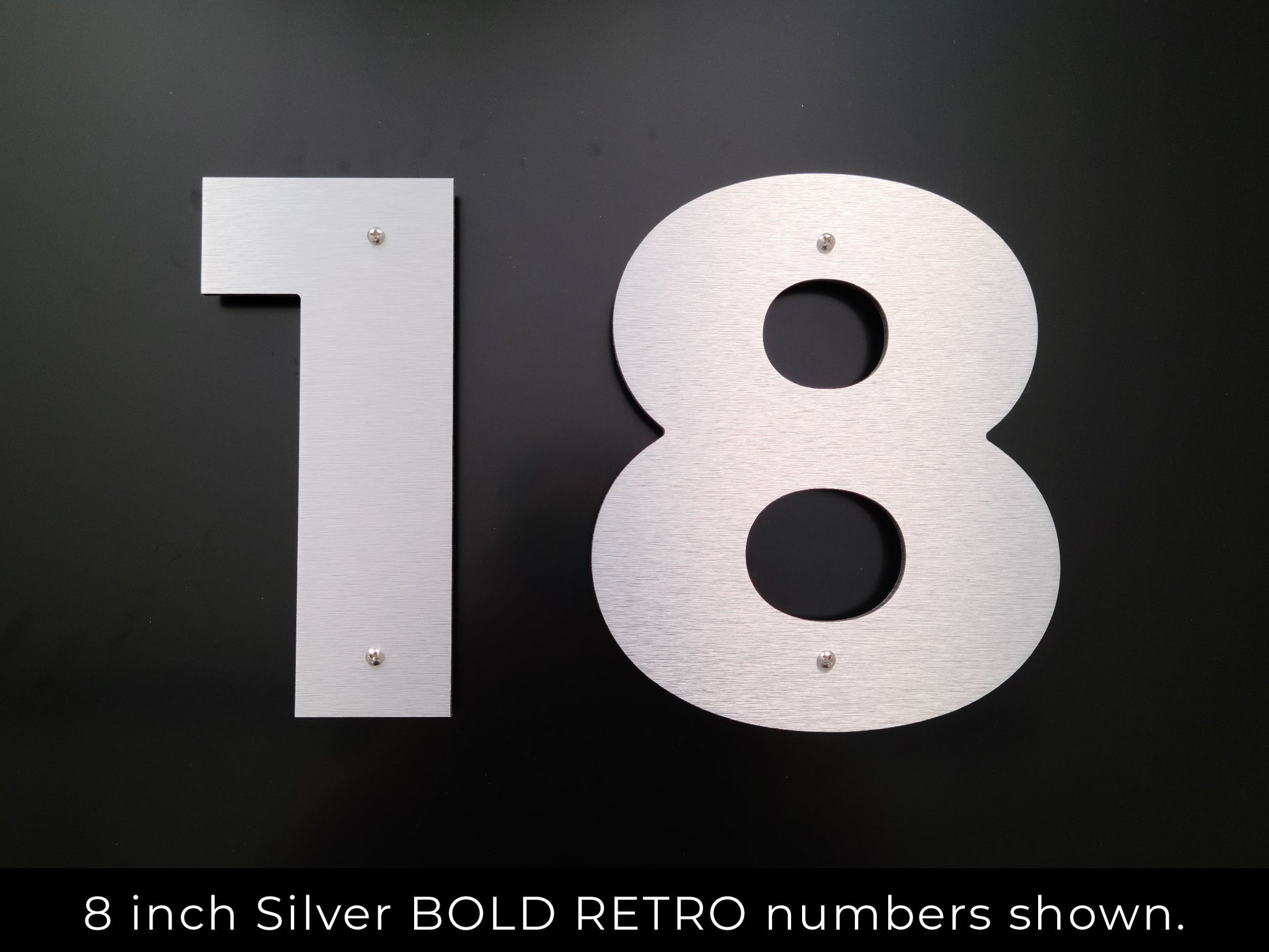BOLD RETRO brushed silver numbers